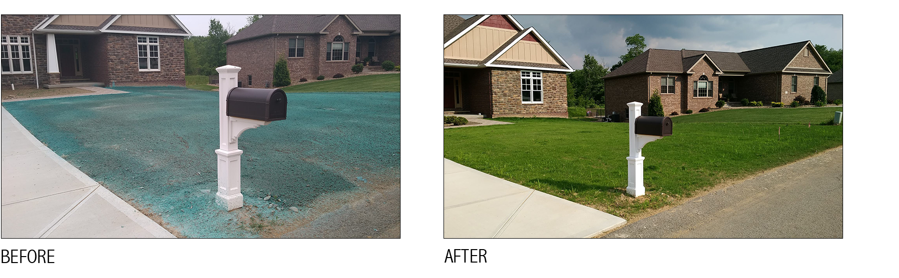 hydroseed lawn install
